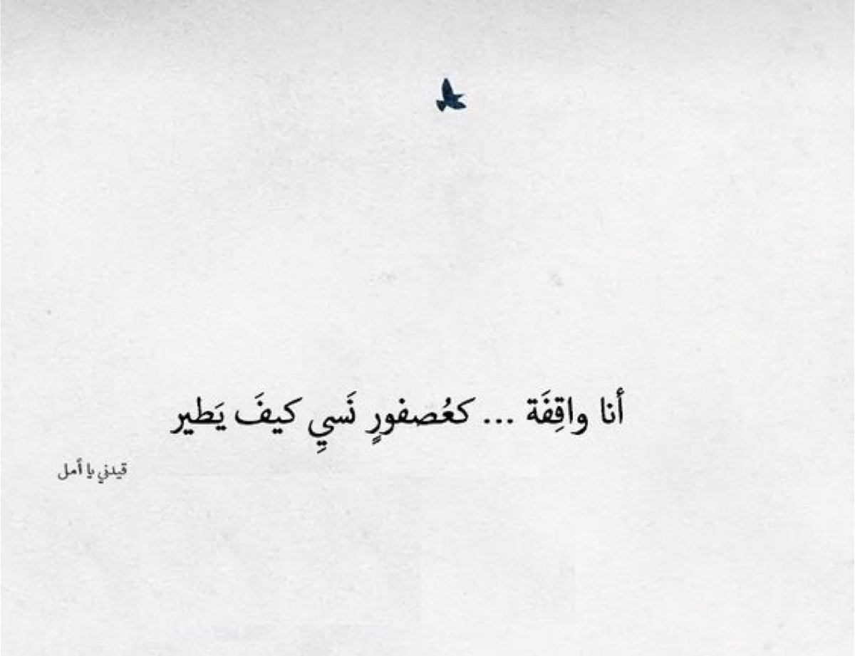 Mah4s's tweet photo. هناڪ في العمق منا
رسائل من " مشاعـر "
نرددها ونعيد صياغتها
لڪنها تبقى سجينة بـ قلوبنا
فهل هناڪ من يقرأ صمتنا
ويترجم مشاعرنا رغم المسافات
وقلة اللقاءات ..؟!!

#مشاعــر https://t.co/sHOqCUzLXT