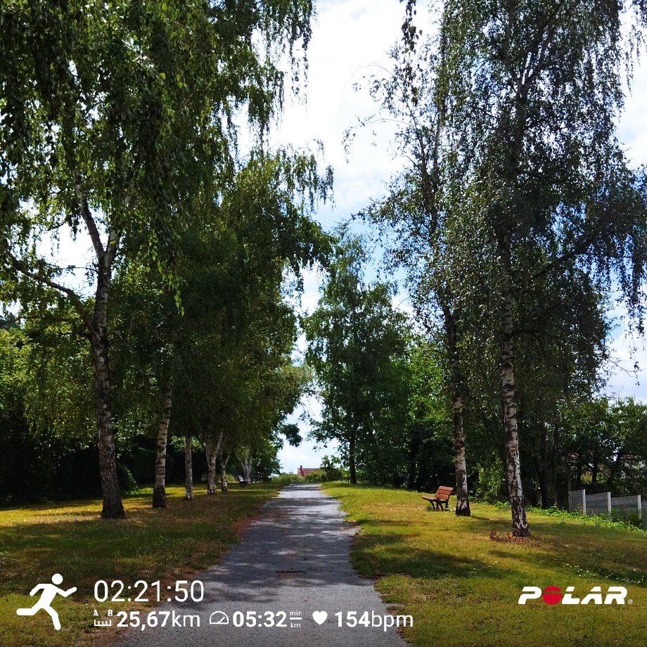 SebyLeBazet's tweet photo. 🎶On a parcouru le chemin,
On a tenu la distance🎶 #running #auvergne #sundayvibes #MorningMotivation #sortielongue #relax #summer #Vacances #weekend #PolarVantageV https://t.co/xlXn6a78vU