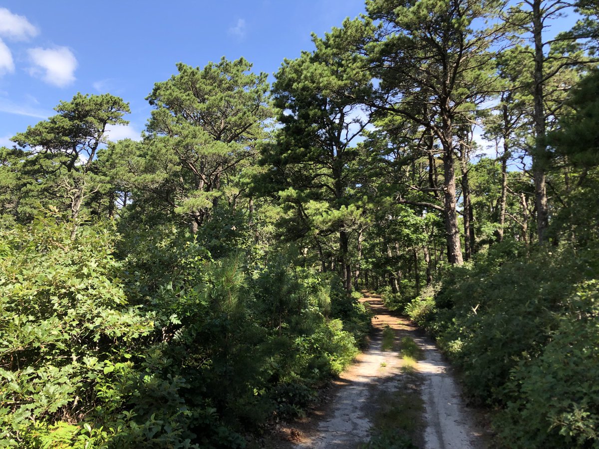petermarteka's tweet image. Couple miles into my run and my shirt is still relatively dry for first time in a month. See what I did there? #Weatherhumor #orgeekhumor