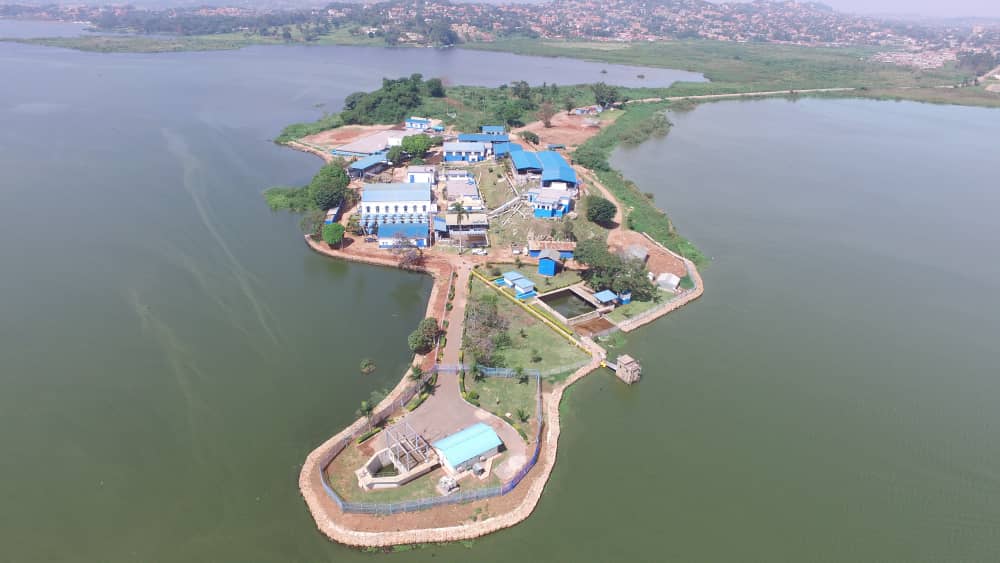 nwscug's tweet image. Check out the colour of raw water that we abstract from Ggaba.
Through a rigorous International drinking water standards process, we deliver the water to your tap clean and safe!
Paying water bills helps us keep the taps flowing.
For those avoiding bills, Mwagala tugoinge wa?