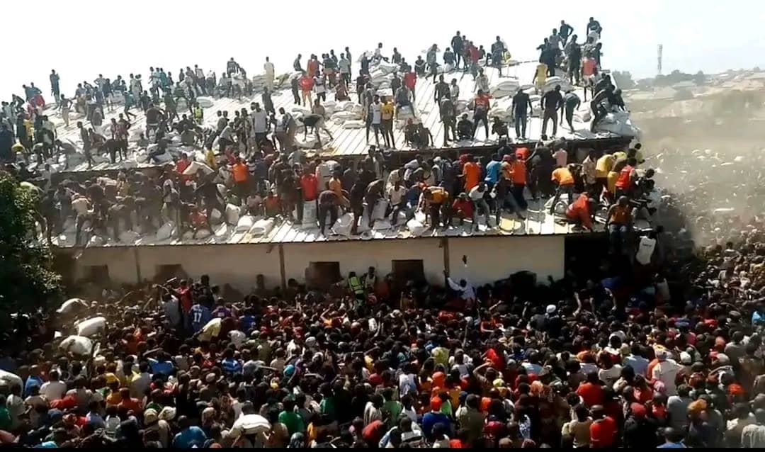 ayemojubar's tweet image. #Adamawa: Renewed Shege, World War Z Edition is not even here yet.