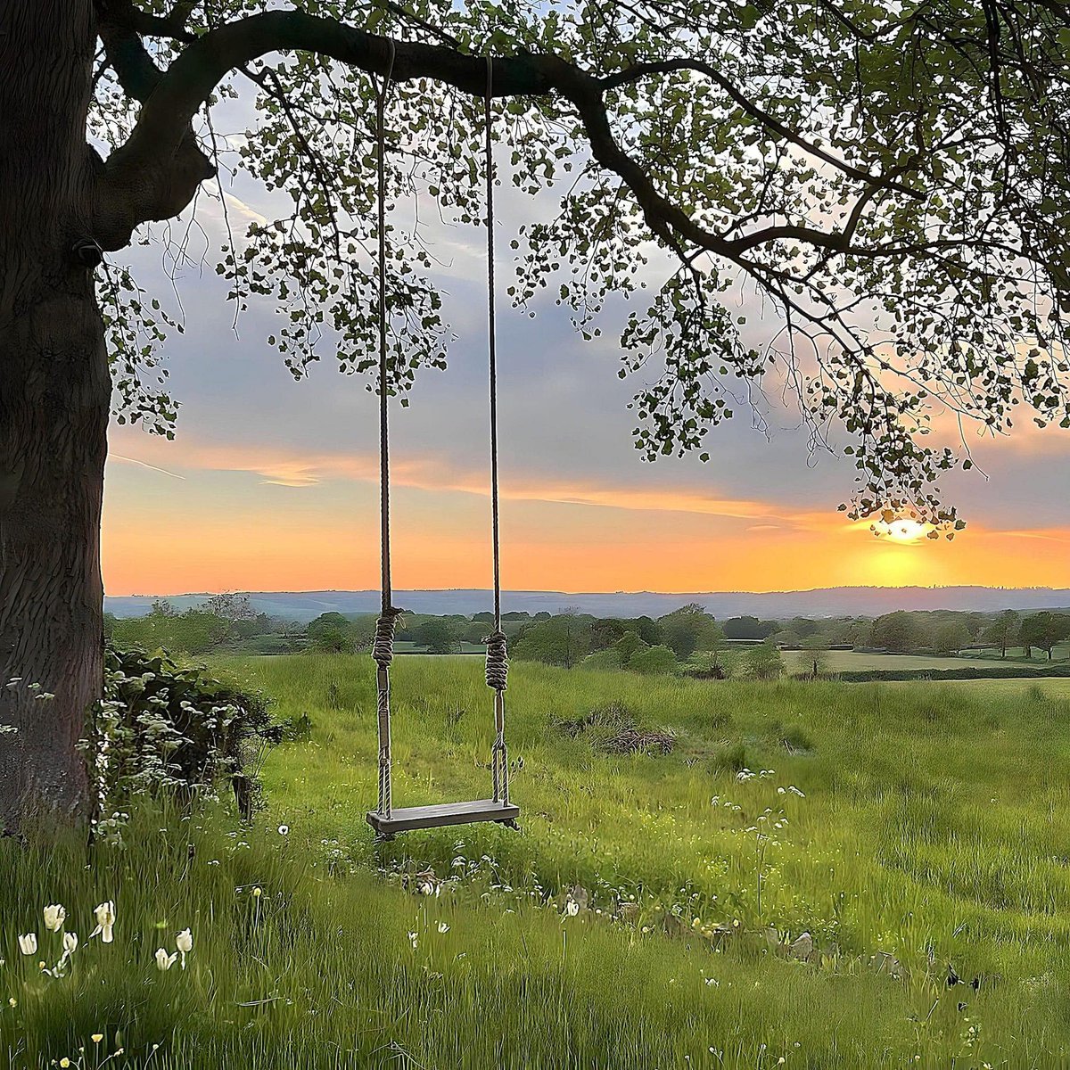 artindetails's tweet photo. fairies live here https://t.co/nxDUt6QDjg