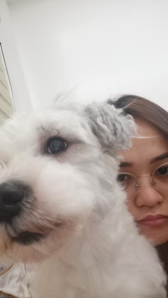 purplesssss's tweet photo. My lab 😘 https://t.co/n9IjrP3GMP