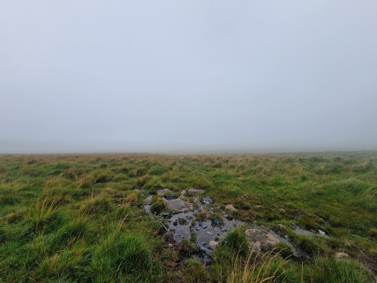 View today on #Dartmoor