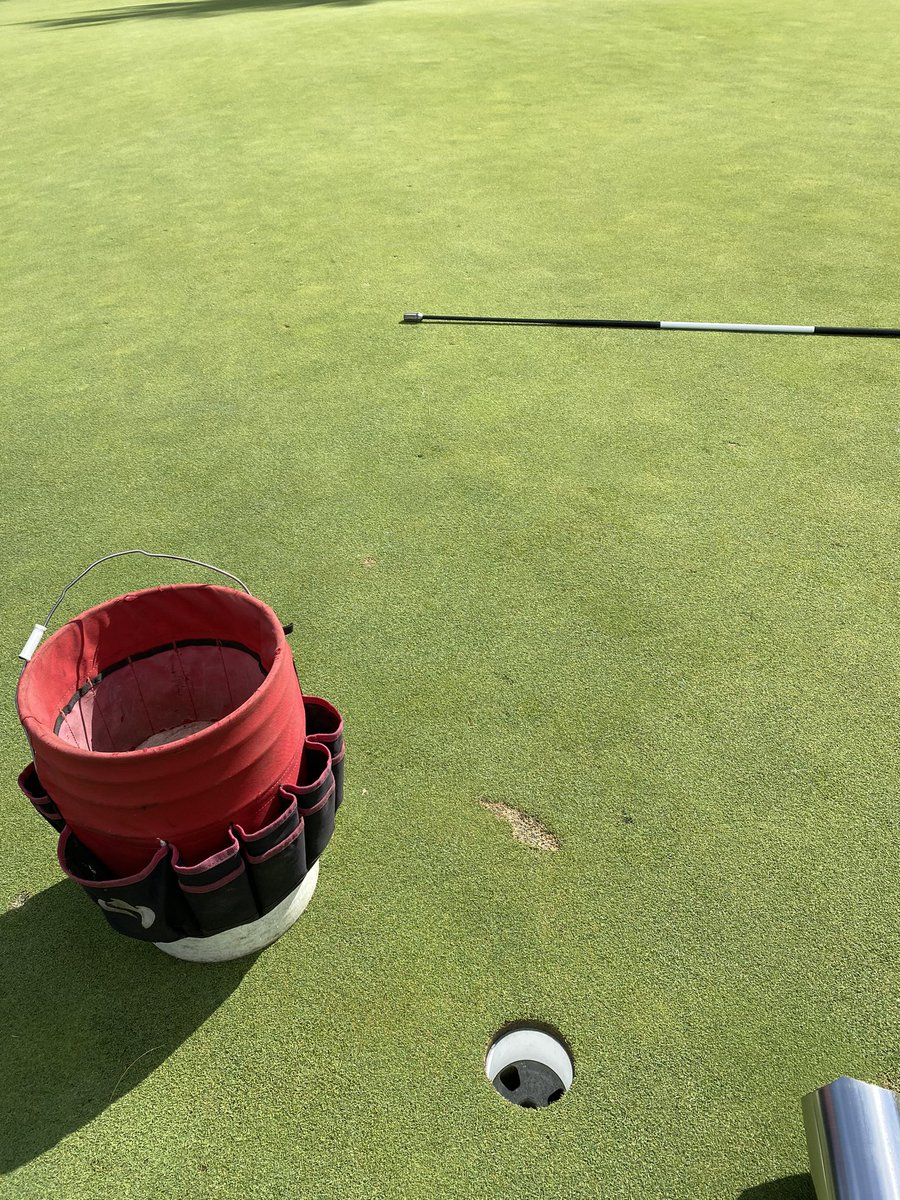 Brian Daigneau ⛳️ tweet media