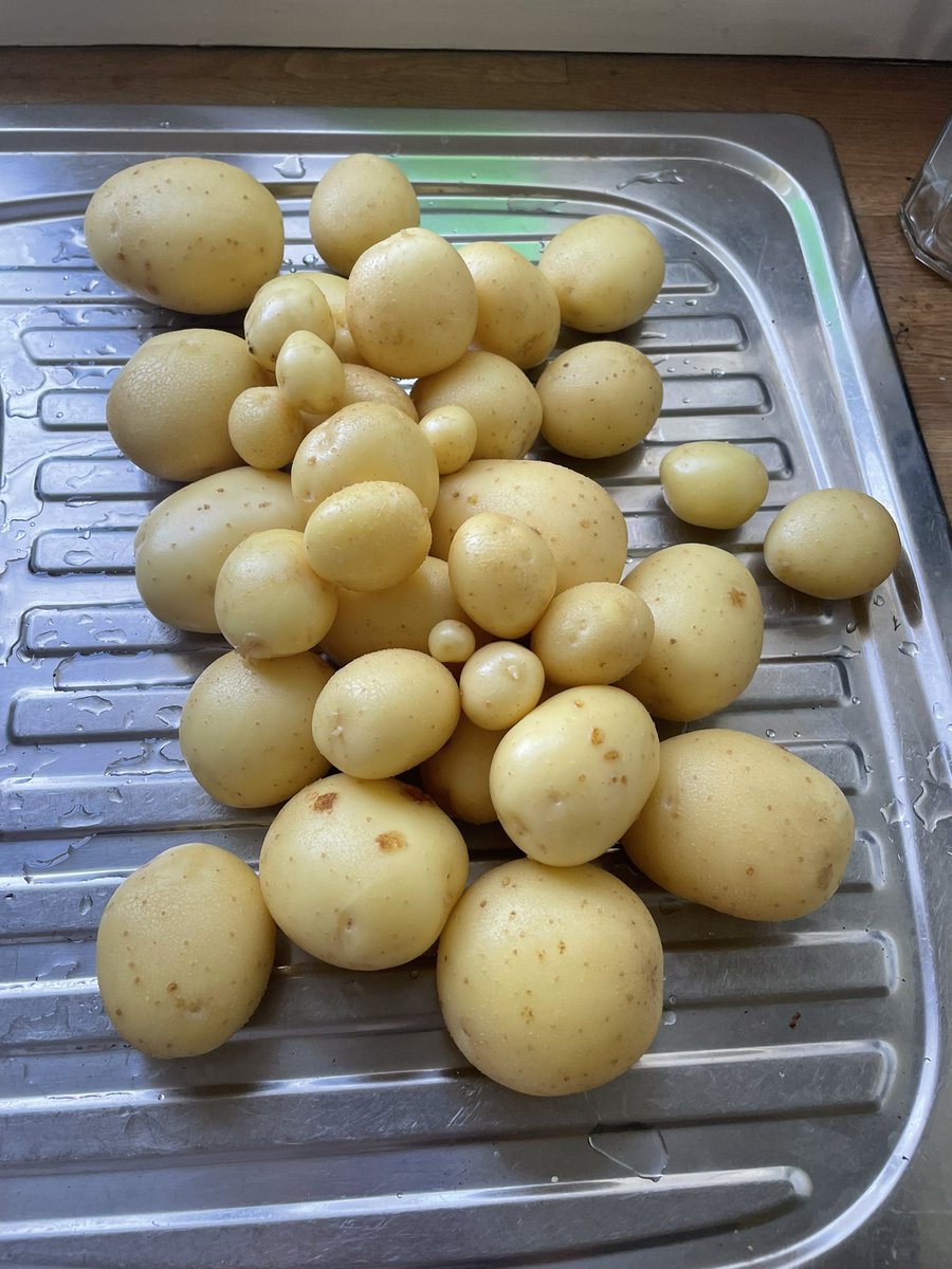 I am now 30, have become an aunt and growing my own potatoes are exciting