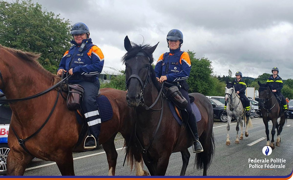 federalepolitie's tweet photo. Steeds gewaardeerde steun van de Nederlandse en Duitse collega's voor de politie-opdrachten bij #BelgianGP #F1
🇳🇱🇧🇪🇩🇪
#mountedpolice #policemotorcycle #politienederland #polizei https://t.co/lWUnSW0NBn