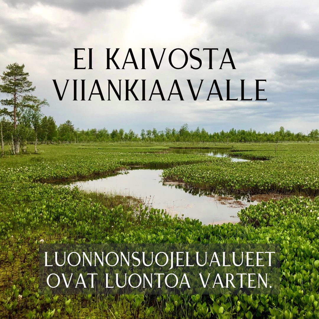 Ei kaivosta Viiankiaavan Natura- ja soidensuojelualueelle!

Monikansallisen kaivosyhtiö Anglo Americanin tytäryhtiö AA Sakatti Mining Oy suunnittelee kaivosta Viiankiaavan Natura- ja soidensuojelualueelle Sodankylässä. 🧵 1/8