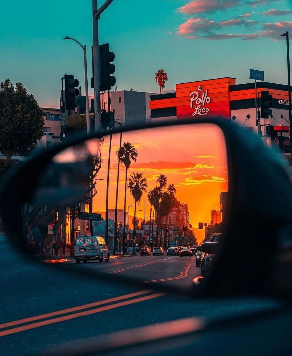 Los Angeles | California 🌞🌴 🌴