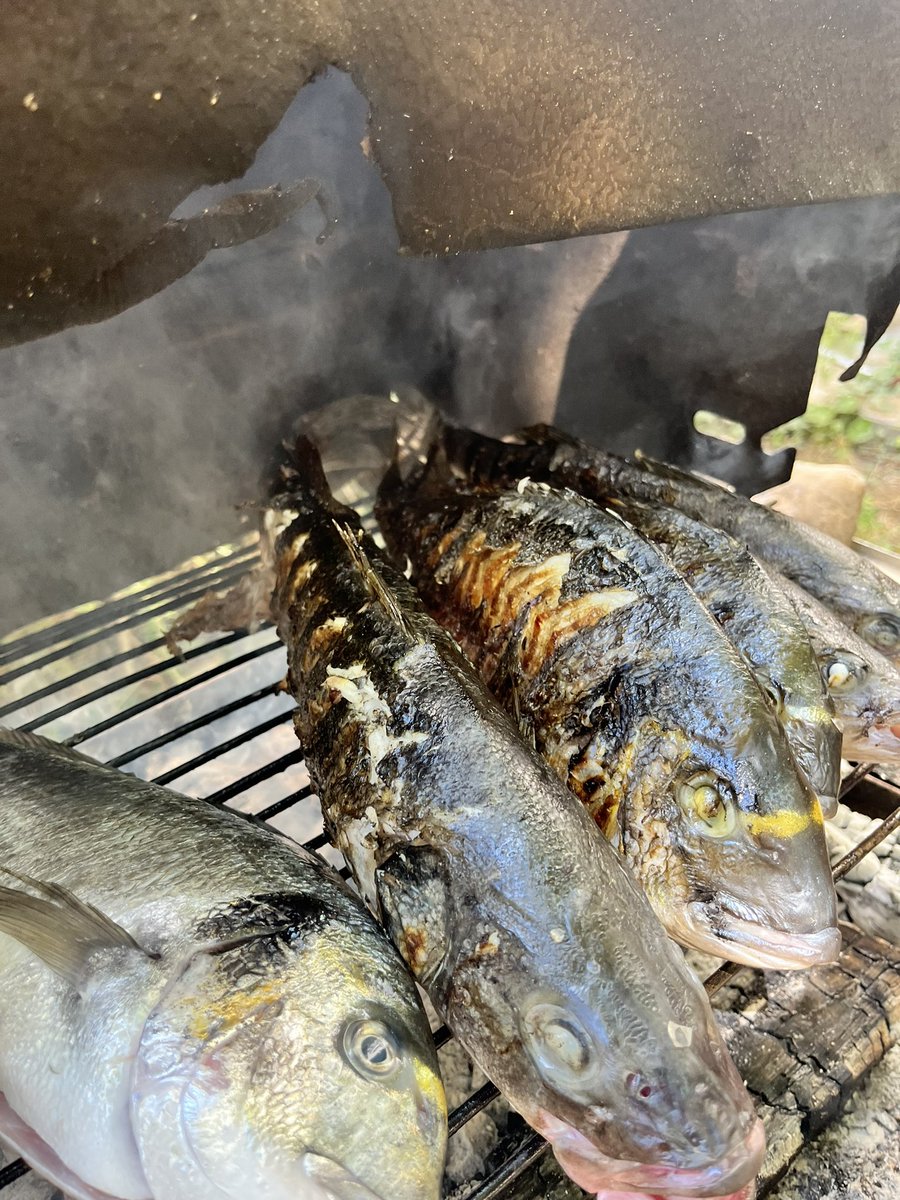 FinsWingsWheels's tweet photo. #gastrobiker @Hondashstari @100le31 @Cucurucu
Nisam stigao da uslikam peceno na tanjiru, svi su nagrnuli na klopu… tako da samo ovako ovaj put. Bilo je odlicno, veliki komadi pa je ukusnije. #fažana #fazana #istra #histria https://t.co/zwT1Q5GbFb