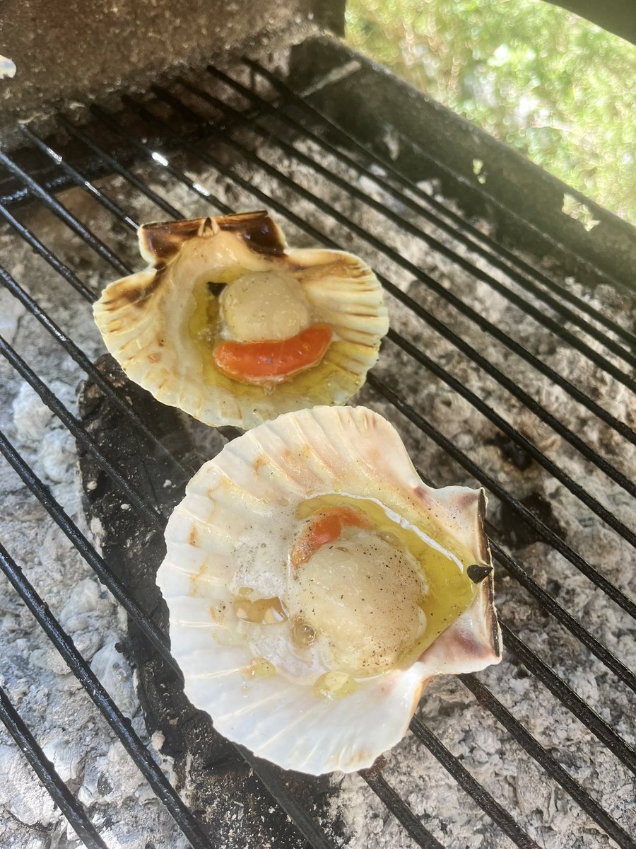 FinsWingsWheels's tweet photo. #gastrobiker @Hondashstari @100le31 @Cucurucu
Nisam stigao da uslikam peceno na tanjiru, svi su nagrnuli na klopu… tako da samo ovako ovaj put. Bilo je odlicno, veliki komadi pa je ukusnije. #fažana #fazana #istra #histria https://t.co/zwT1Q5GbFb