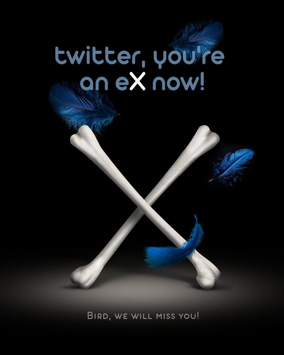 InMonsta_NFT's tweet photo. @barkmeta @yugalabs @BoredApeYC @CryptoGarga X-twitter.  We loved this bird so much...  Buy the only NFT here: https://t.co/vJAvyZrgcT https://t.co/GodfOheGGz