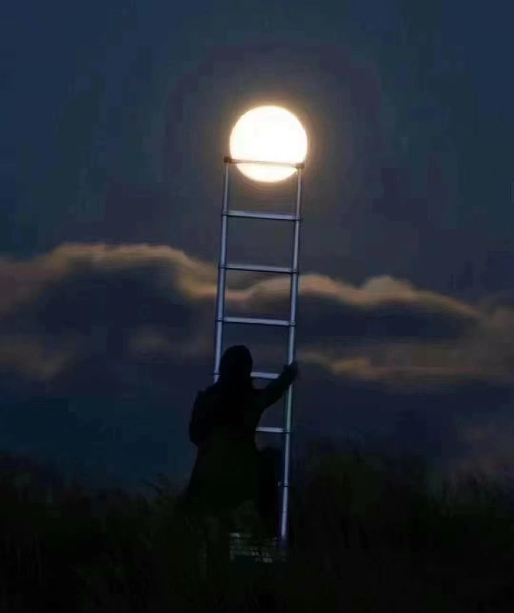 PaiSoftware's tweet photo. It turns out that we are very close to the moon.Thanks to PiNetwork.
#PiNetwork #pipayment #Web3 #x #cryptocurrency https://t.co/KBVhSTq367