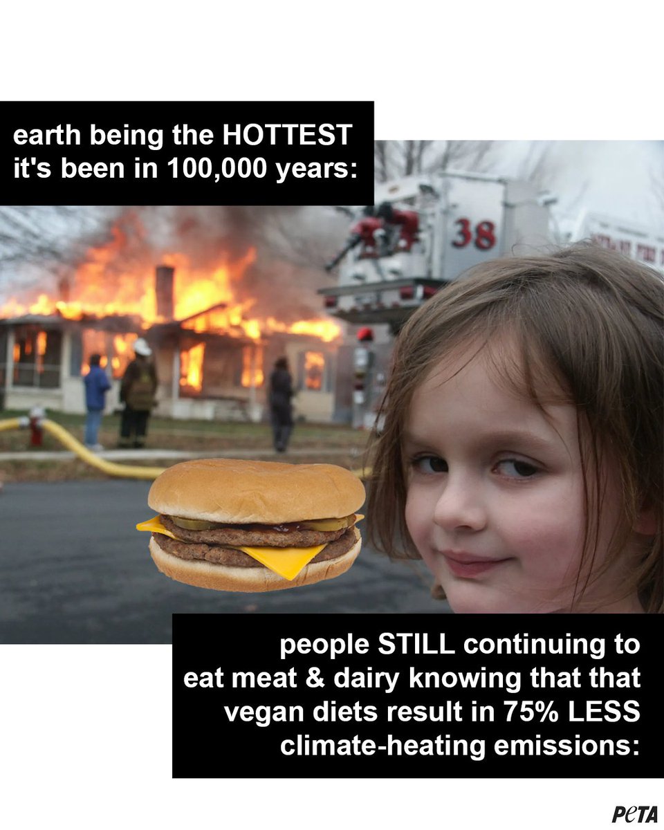 peta's tweet photo. This is catastrophic 🔥 
 
Don't sit idly by, if you care about the well-being of our planet &amp; everyone who lives here—DO SOMETHING ABOUT IT 😤 #GoVegan https://t.co/isYvUk81ku