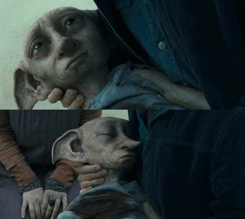 cisimlendi's tweet photo. "Arkadaşlarla birlikte olmak için ne güzel bir yer. Dobby, arkadaşı Harry Potter ile birlikte olmaktan mutlu." https://t.co/ABVORljz9Z