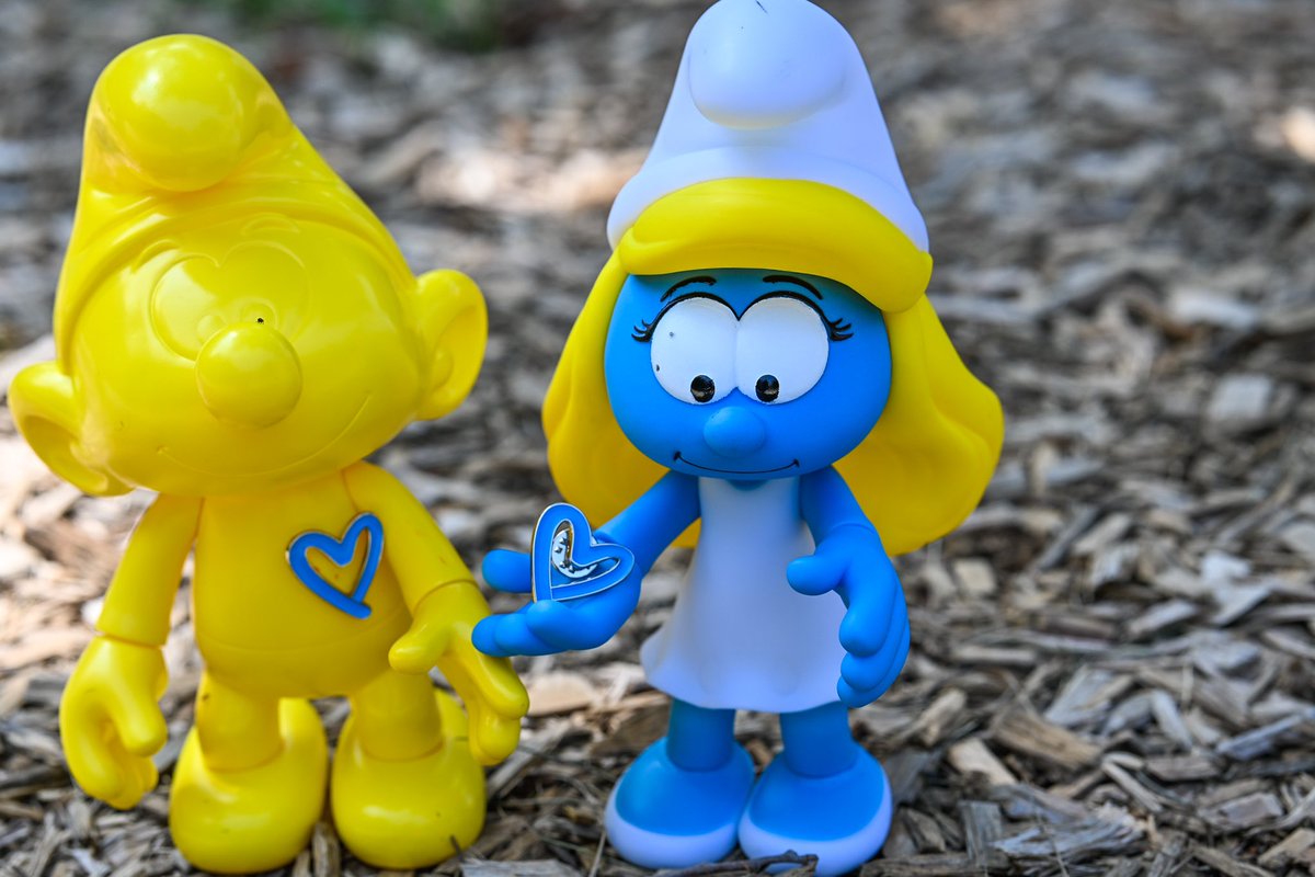 Belgium in the USA tweet media