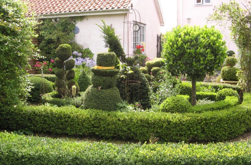 NGS Suffolk tweet media