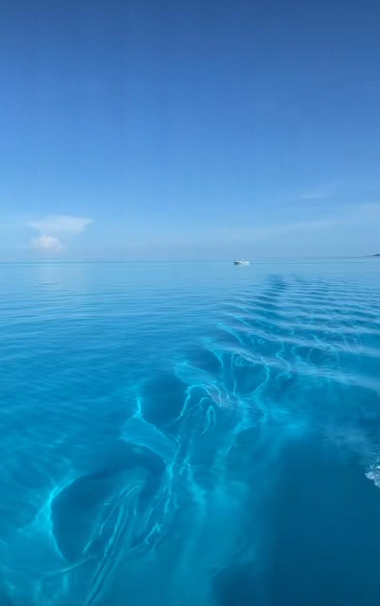 Miami -it's only the opening act🇩🇰🇺🇸🇸🇪🏳️‍🌈 tweet media