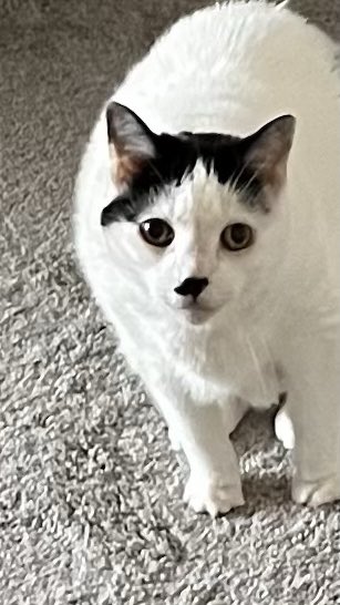 Maddie Smith 🌔🌿✨ tweet media