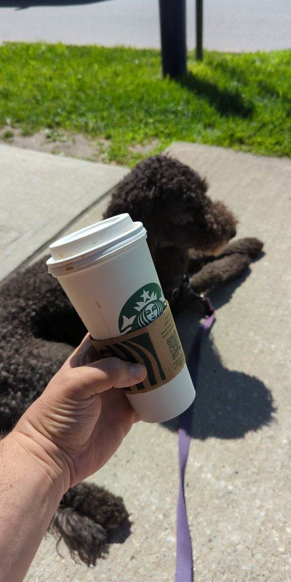 Good Sunday morning, some #spinachwithfriends and #puravida #honeyoil with my Millie and trusty #starbucks the day is mine!