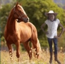 beyoncecuffit's tweet photo. Aquela joelho de pacoca sabe exatamente oq tá fazendo, enquanto a gente clamar por visuais aí é que ela vai nos humilhar, ela só vai soltar os ditos cujos quando ela fechar o Act I, ou seja, pode ser que ainda no fim de outubro ou só quando ela quiser mesmo pq ela eh assim https://t.co/hmg6jebtGP