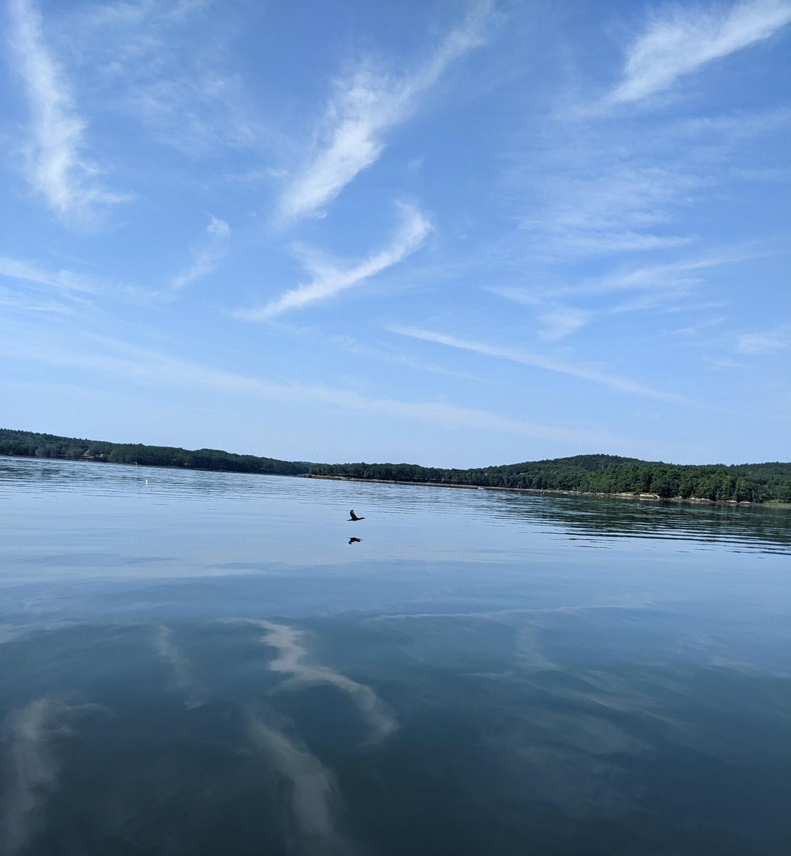 NayakLab1's tweet photo. At  Darling Marine Center @UMaineDMC in beautiful Maine for a couple of weeks, searching for mysids with fantastic collaborators from @WHOI &amp; @USouthernMaine, for an @NSF funded project to characterize their ecology (https://t.co/MZJ8rLxkJN). @LasleyRasher @sumit_dass @sail5544 https://t.co/ItuhzGCHJf