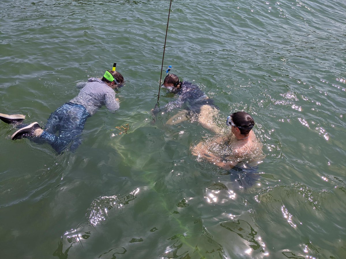 NayakLab1's tweet photo. At  Darling Marine Center @UMaineDMC in beautiful Maine for a couple of weeks, searching for mysids with fantastic collaborators from @WHOI &amp; @USouthernMaine, for an @NSF funded project to characterize their ecology (https://t.co/MZJ8rLxkJN). @LasleyRasher @sumit_dass @sail5544 https://t.co/ItuhzGCHJf