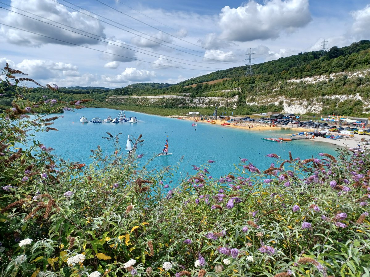 Blue Sky Fostering tweet media