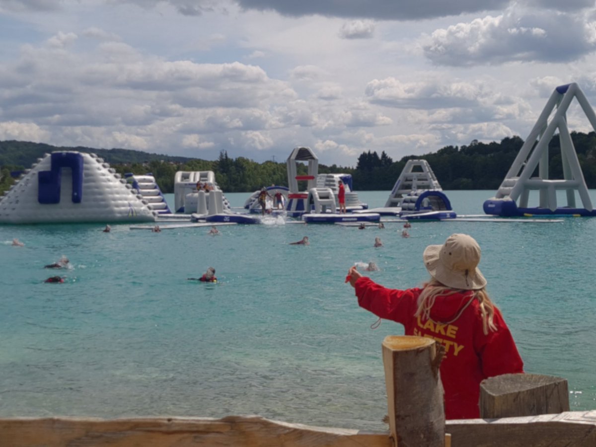 Blue Sky Fostering tweet media