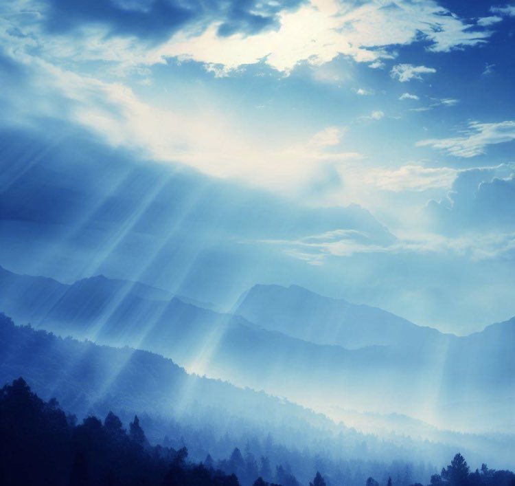JourneyT0TheSon's tweet photo. blue skies and gentle sun rays dry off the gentle rains from last night forest and mountains reawaken #RefreshingMorning #NatureRejuvenates #BlueSkies #GentleSunRays #MountainMagic
#SundayMorning #aiartcommunity https://t.co/UcitAgOSkq