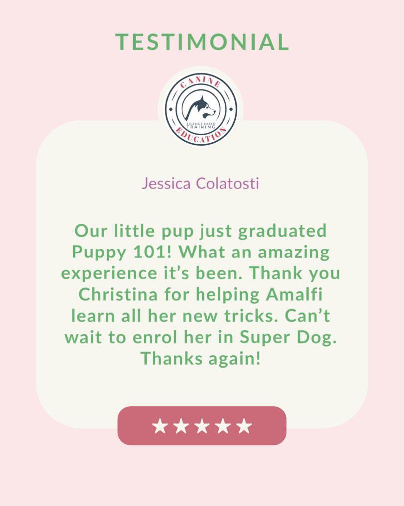 fromwooftowow's tweet image. Thank you!! ❤️🐶❤️
.
.
.
#positivereinforcement #sciencebasedtraining #DogTraining #dogslife #doglover #canineeducation #dogtraining #dogtrainer