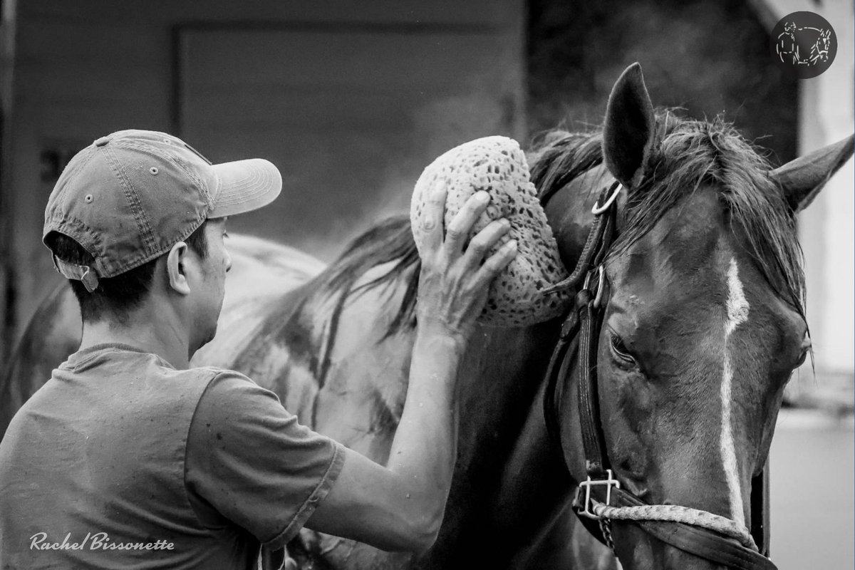 WeAreTeamLovell's tweet photo. English Tavern enjoys a post-workout bath with his groom Carlos.
π·: @Rachelbissonet2 Photography for @allbouttherace
#WeAreTeamLovell #TeamLovell #ThoroughbredRacing #EnglishTavern #EnglishChannel #DeshawnParker #ChurchillDowns #AllAboutTheRace #TheBusinessOfHorseRacing https://t.co/rPvbCzXkML