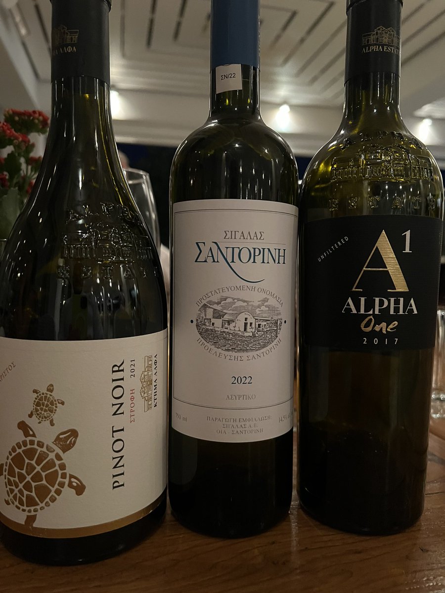 A huge thank you to Enae Tsilla who has looked after us so exceptionally well this week and also introducing us to a number of fabulous #greekwines including some absolute beauties from #AlphaEstate - their #AlphaOne #merlot and #pinotnoir and  #domainesigalas #assyrtiko ♥️🇬🇷🍷