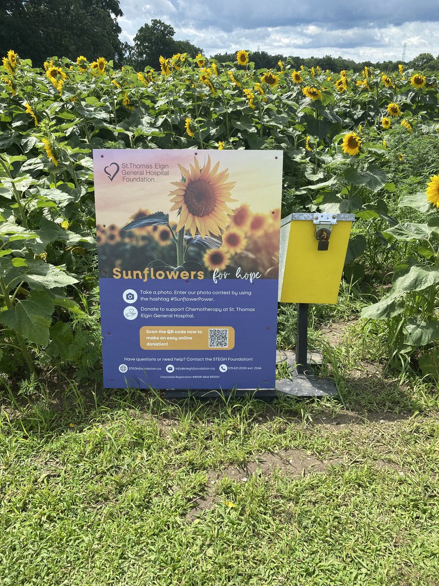 Visited the Sunflower patch <a href="/jaycurtis/">Jay Curtis</a> today and tour of the shop. Newer Gleaner on display. Great cause Jay
