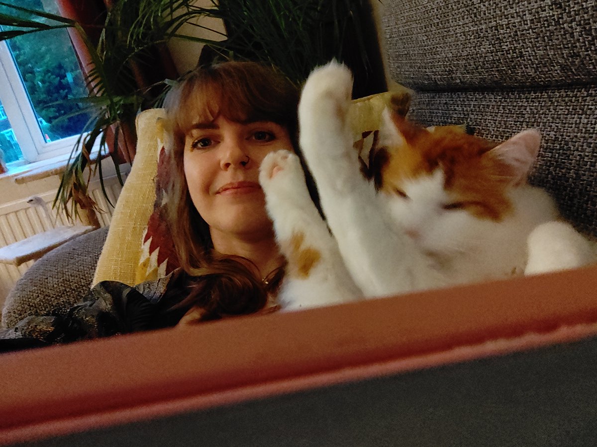 HanPayne's tweet photo. Reading with a cat is so relaxing... https://t.co/h9WRbQ1Mjm