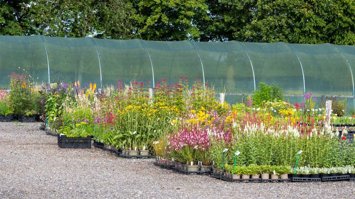 We're nearly ready for the RHS Hyde Hall Flower Show. Will you be joining us?
