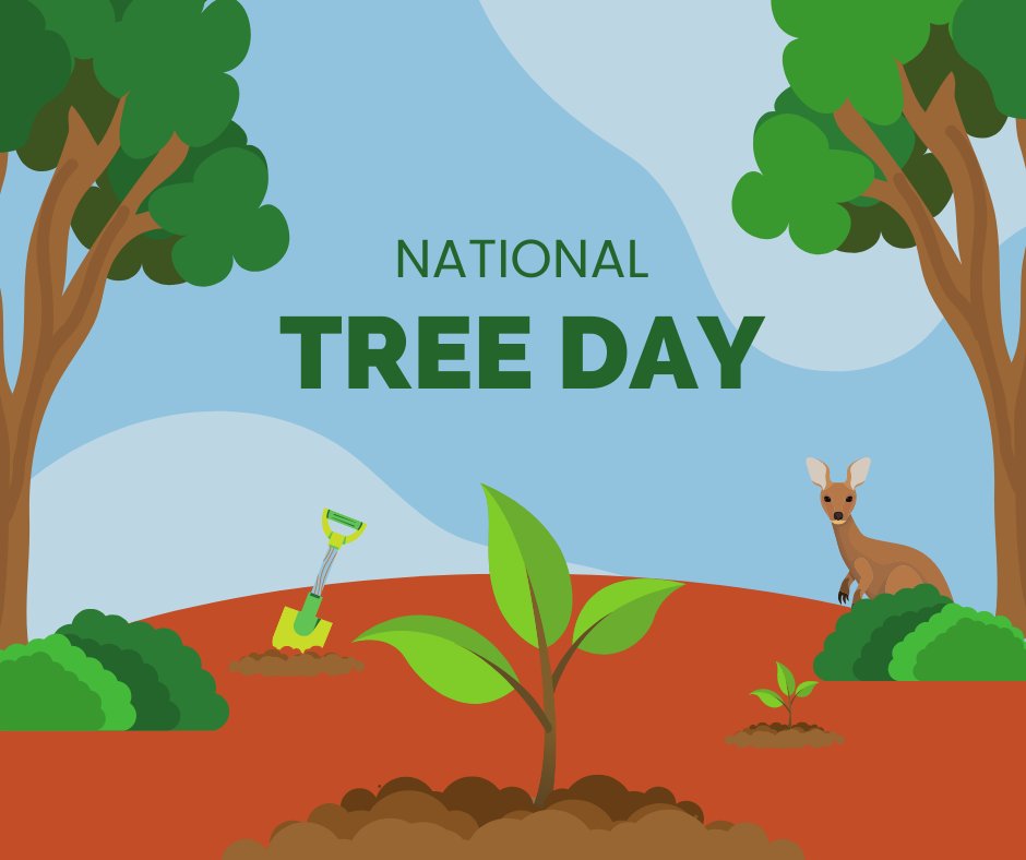 SQLandscapes's tweet image. 🌳 // Did you know that Southern Queensland is home to a diverse range of trees that play a vital role in our ecosystem? From the iconic eucalyptus trees to the majestic bottlebrushes, these trees provide us with numerous benefits. #NationalTreeDay #ProtectOurTrees