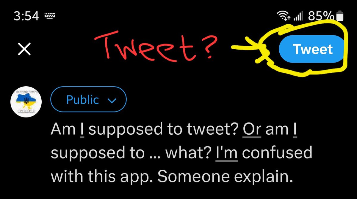 I'm confused, <a href="/elonmusk/">Elon Musk</a>. Are we posting, "X"ing, or tweeting? #XTwitter  #RIPTwitter