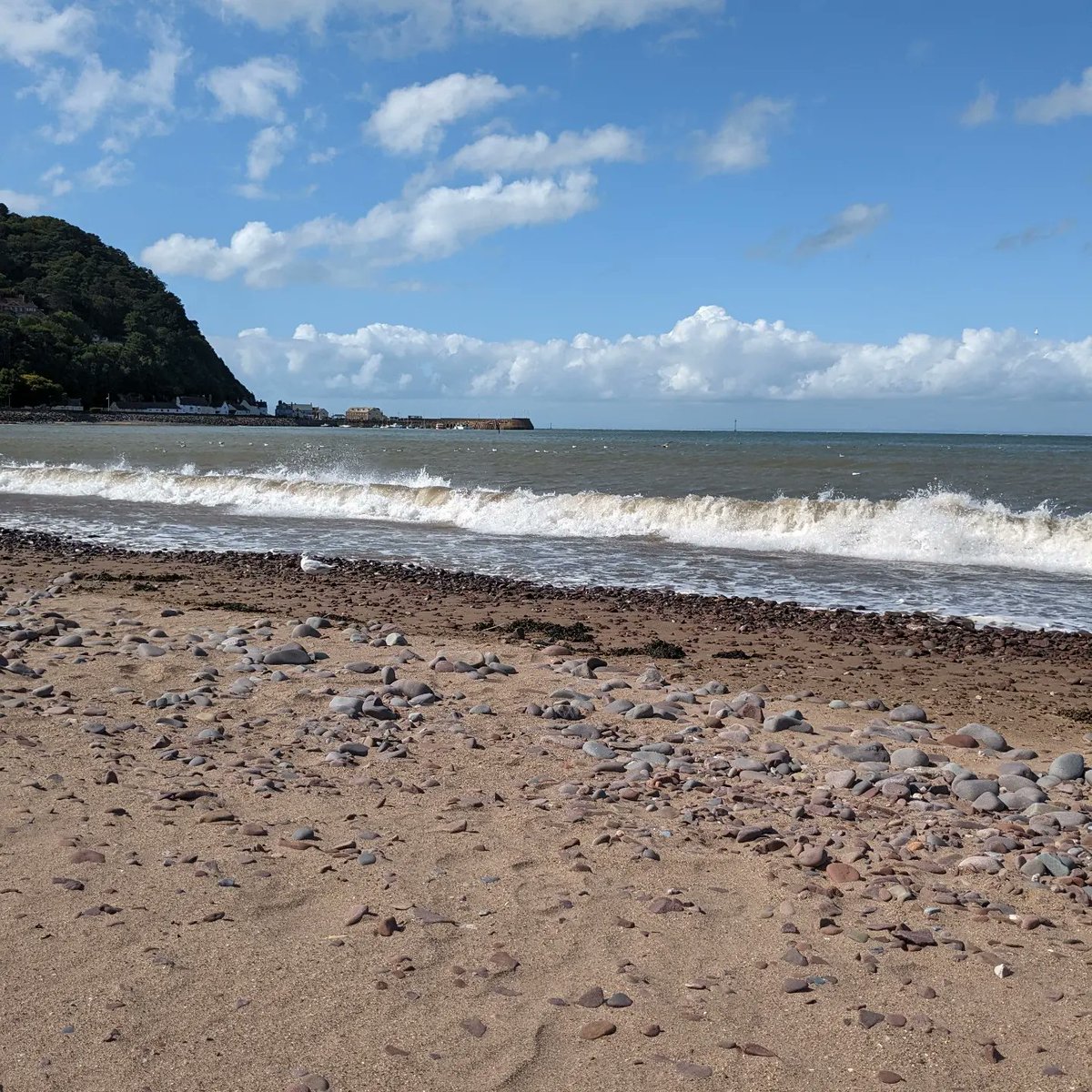 SavientBugs's tweet photo. @SavientBugs on holiday in #Minehead @Butlins #ReadyToButlins #2023 with @SavientBugs @InnovationPj @sljames82 https://t.co/Wzse0XFvOz