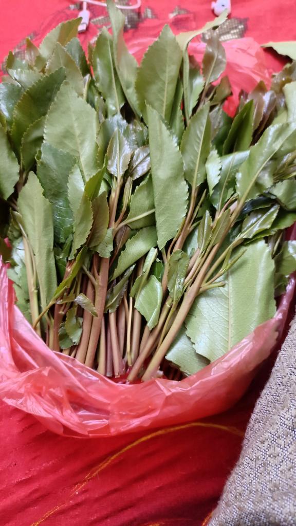 من يحب يعزمنى في بيته نخزن انا وهو وزوجته وكل شي ع حسابي انا بفندق بعدن او سالب بنوتي لايزيد عمره على23 يجي عندي الفندق نسهر