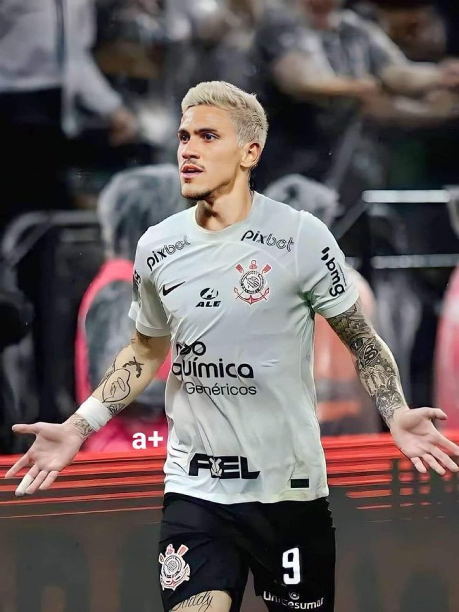 loucosdobandoo's tweet image. basta querer @Pedro9oficial rs