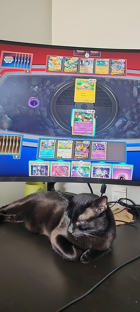 EmberEverthril1's tweet photo. Steaming some #PokemonTCG now on #kick come check me out! The new @PokemonTCG is so nice! I do miss trading! https://t.co/fiQ0hpabYq

#Pokemon #PokemonScarletViolet #PokemonTCGonline https://t.co/a76yepFqkG