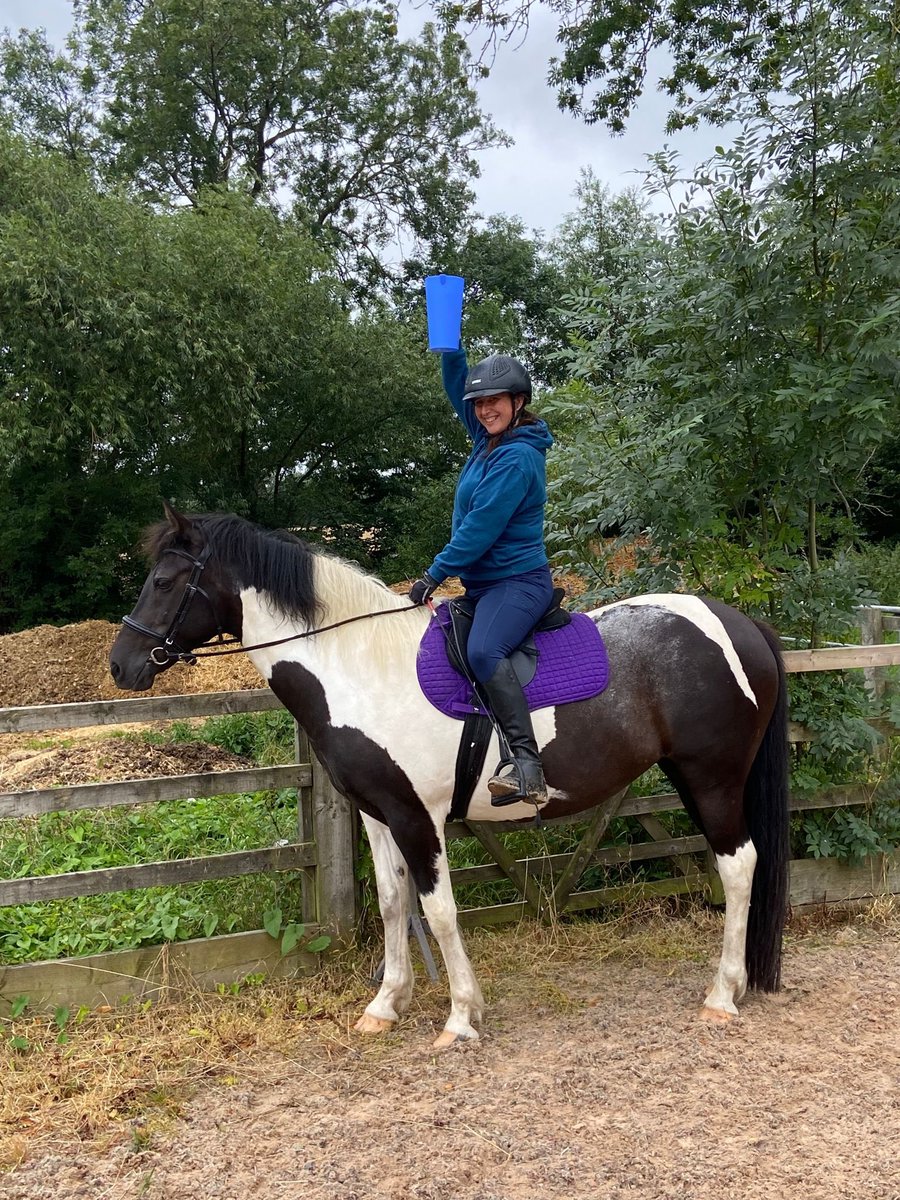 HazzyC's tweet photo. I’m not saying cheers I’m at an obstacle in #workingequitation - great fun with lots of obstacles this afternoon #HorseRiding https://t.co/OKTnfHVRWw