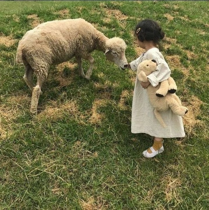 Ника tweet media