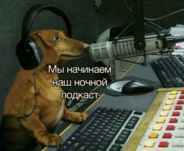 Это я вещаю <a href="/twijokes/">gOLD Olegii 🦄</a> в дс как прошла неделя: