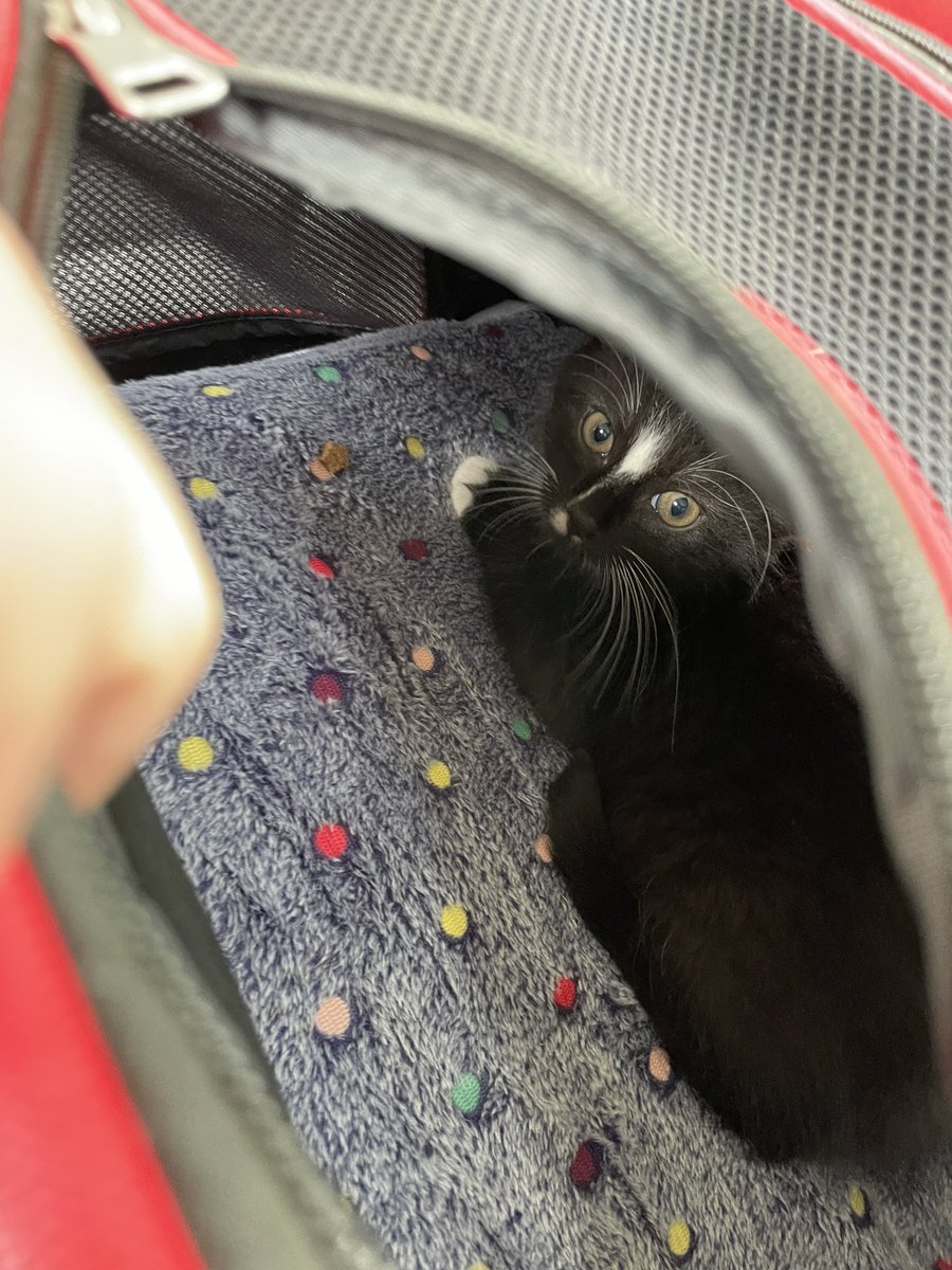 rwmain4's tweet photo. WE GOT RIGBY https://t.co/8NgmwR5Ypg