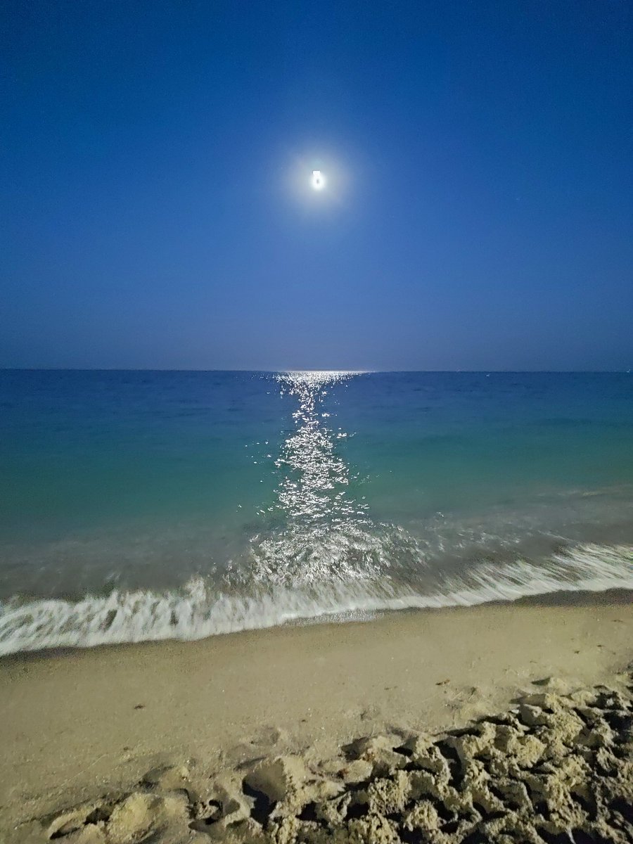 Jantur_CL tweet media