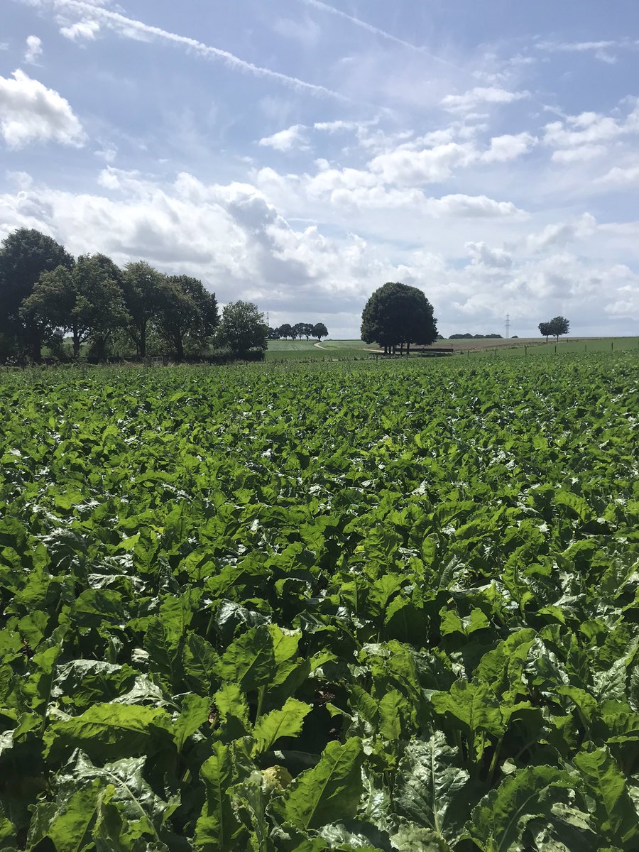 Rondje ‘achtertuin’: Nuth. <a href="/magnifiekZL/">Magnifiek Zuid-Limburg</a>, je zal er maar wonen.