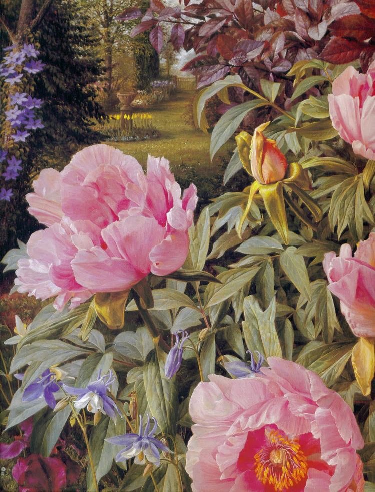 Eccentricity is a theme of my final tweets today.  
This is the wonderful world of Raymond Booth (1929-2015) Leeds botanical painter of plants which he grew in his many greenhouses in his garden in Leeds.   He never sold any pictures until his studio was full to bursting