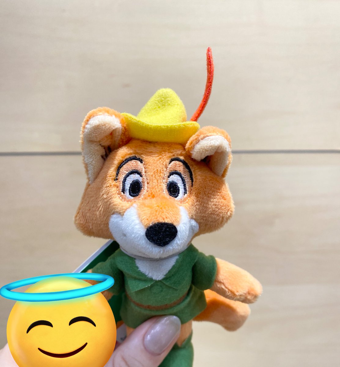 mrmt_72's tweet photo. ロビン出てたの嬉しかった🦊💓 https://t.co/45thzTeacP
